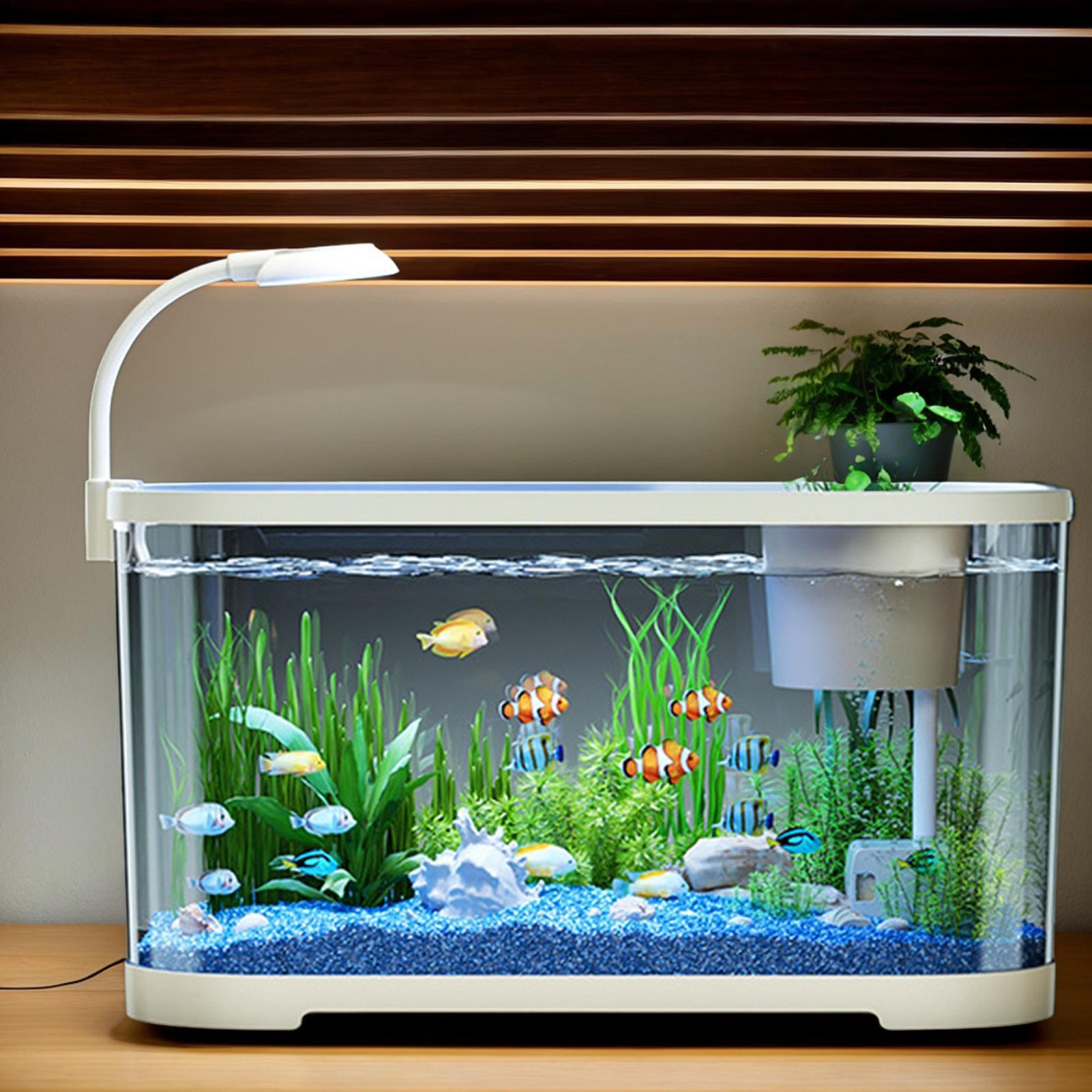 Aquarium Fish For Beginners - Zestaw Akwariowy Startowy Akwarium dla Początkujących