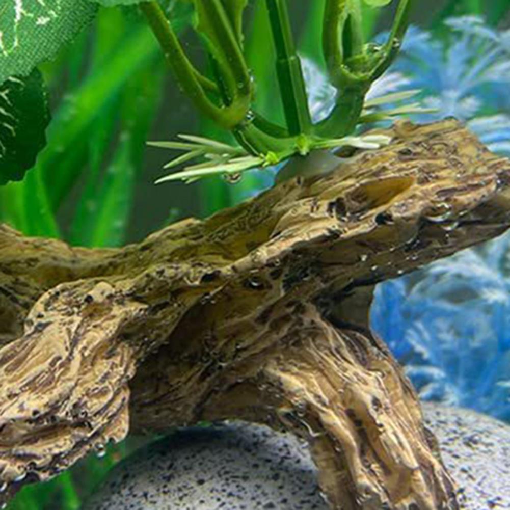 Aquarium Fish Low Maintenance - Niewymagające dużego zaopatrzenia ozdoby do akwarium,