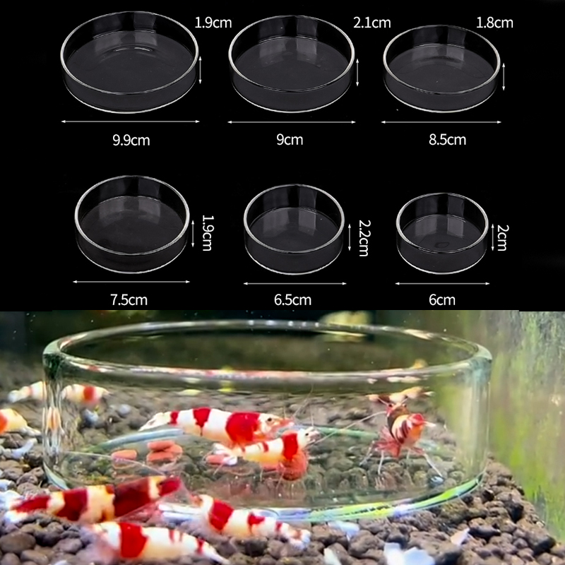 Aquarium Fish Food - Miseczka do karmienia krewetek, przezroczysta szklana
