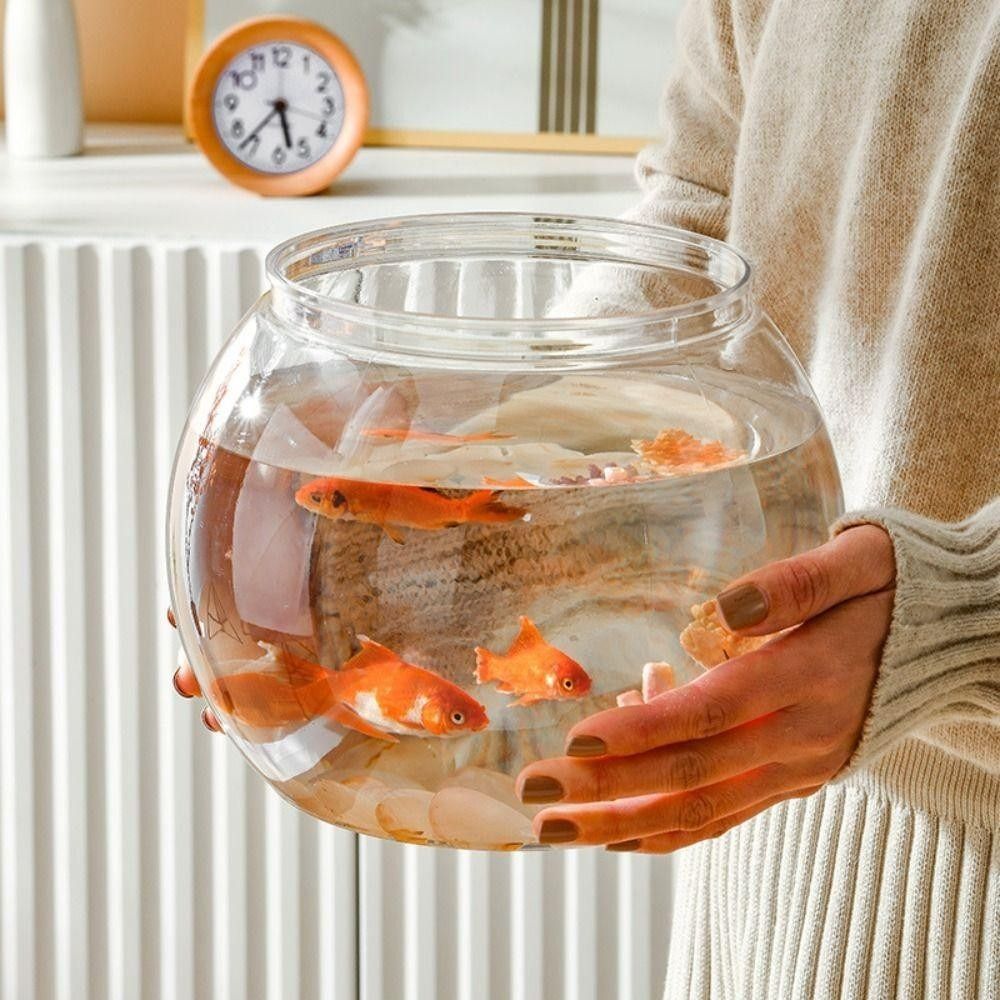 Aquarium Fish For Beginners - Nowe Przezroczyste Akwarium Okrągłe Nietłukące Się
