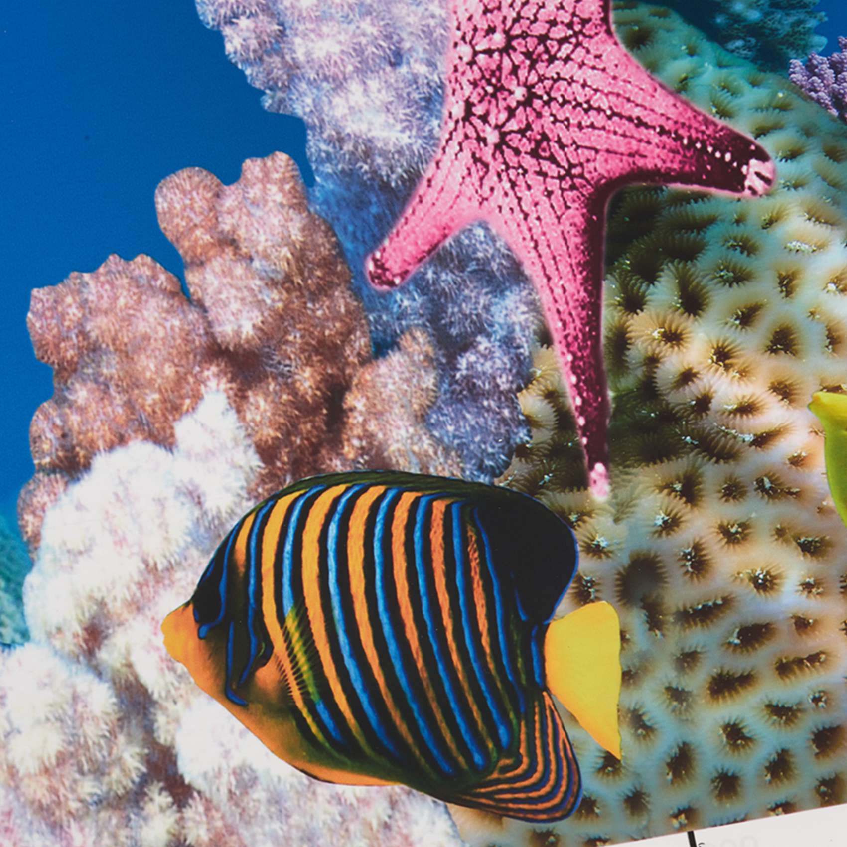Papier tło do akwarium ABWR, o – Aquarium Fish Wallpaper Hd recenzja i cena
