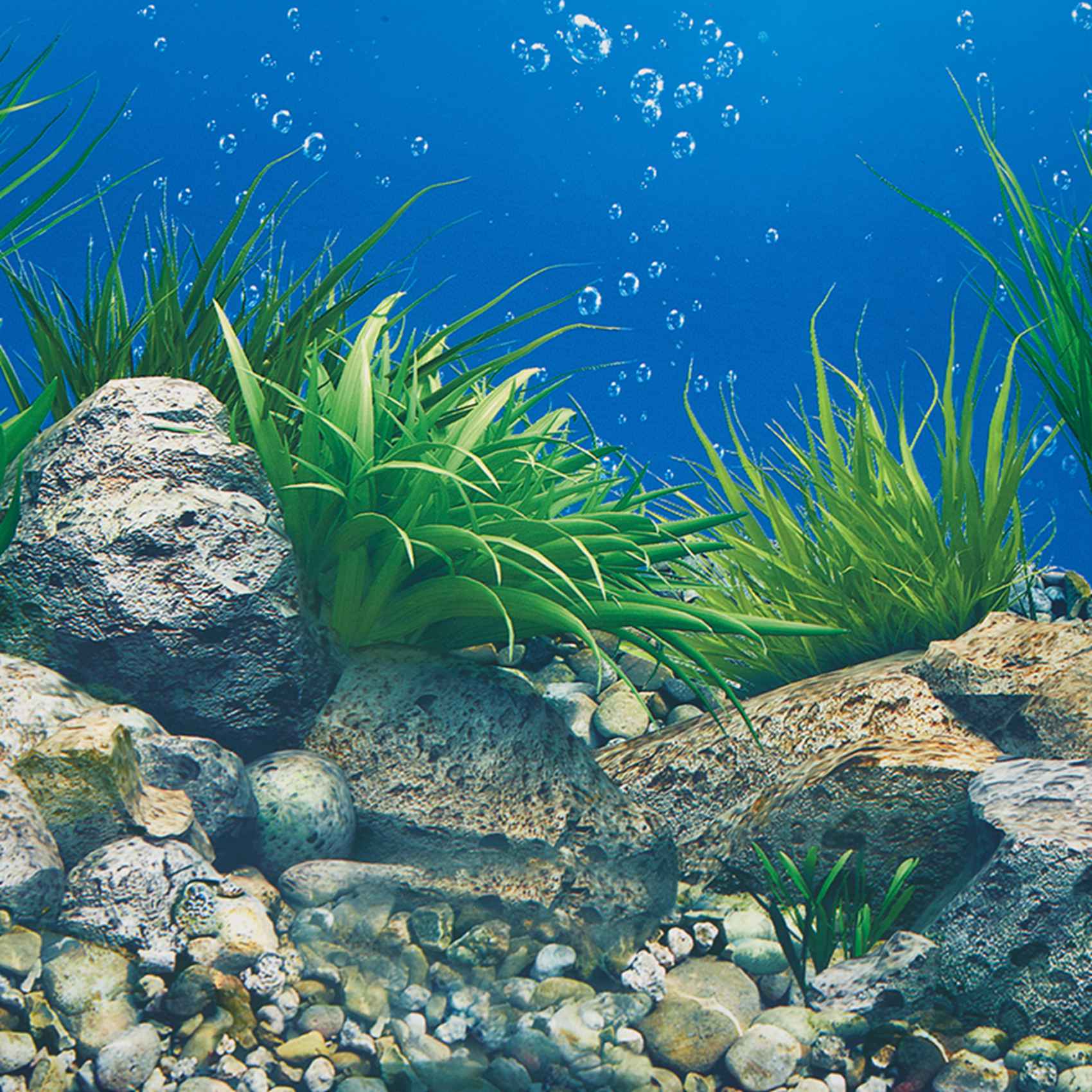 Papier tło do akwarium ABWR, o – Aquarium Fish Wallpaper Hd recenzja i cena