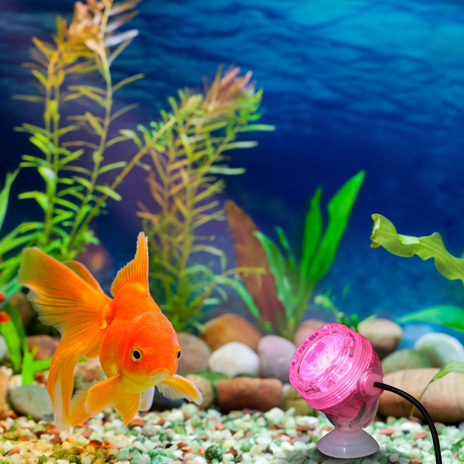 Mała wodoodporna lampa LED do  – Aquarium Fish Rainbow recenzja i cena