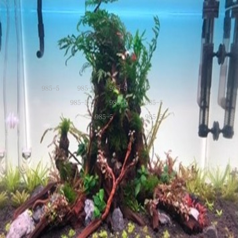 Akrylowa podświetlana tablica  – Aquarium Fish Rainbow recenzja i cena