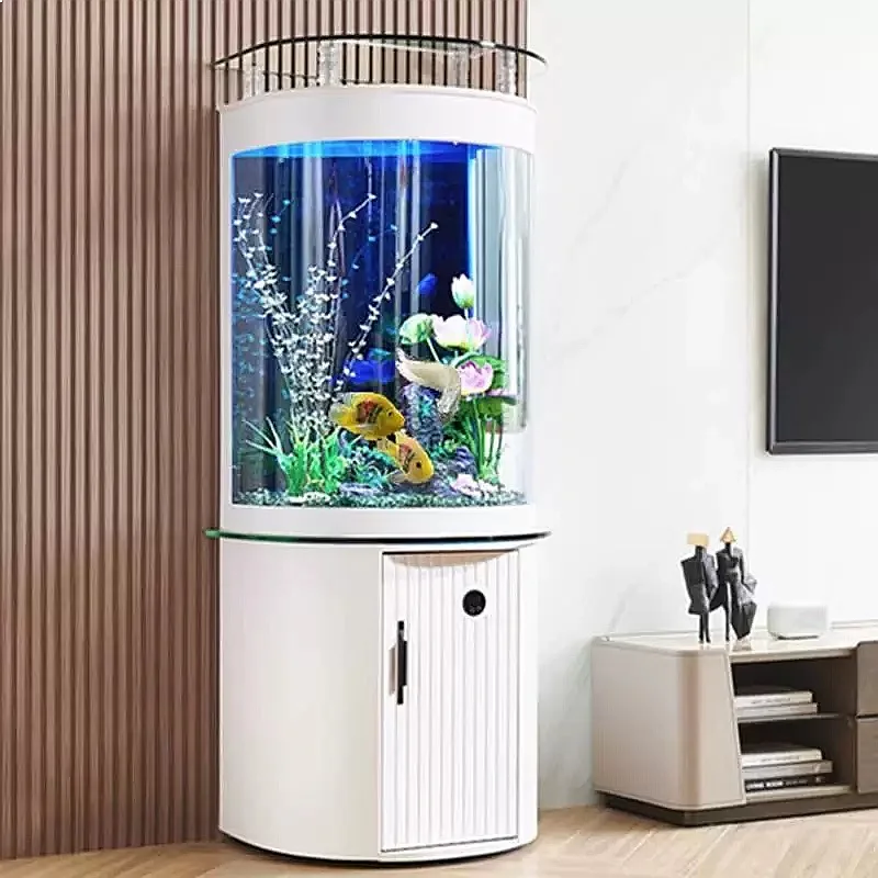 Akwarium ZL z półokrągłym dnem – Aquarium Fish Low Maintenance recenzja i cena