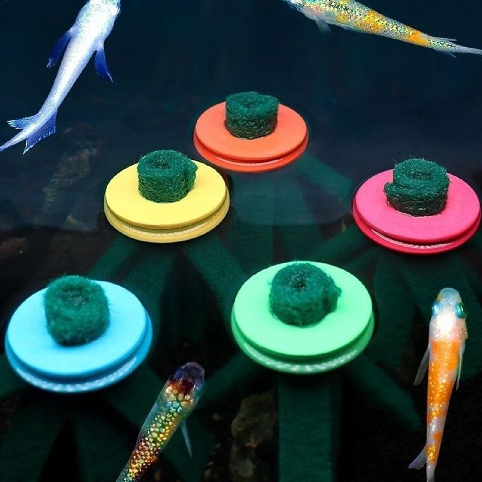 10 szt. Dekoracyjny mop do akw – Aquarium Fish Food recenzja i cena
