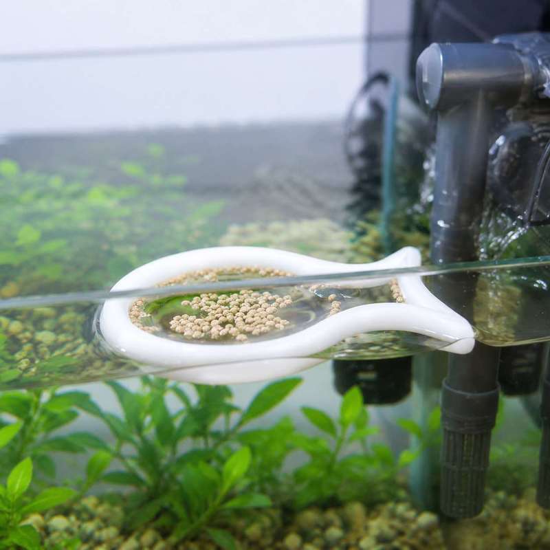 Pływający pierścień do karmien – Aquarium Fish Food recenzja i cena