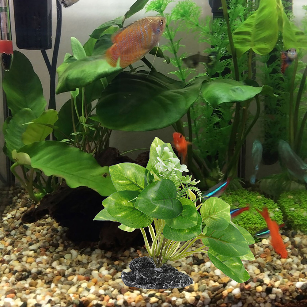 2 sztuki sztucznych roślin wod – Aquarium Fish Low Maintenance recenzja i cena