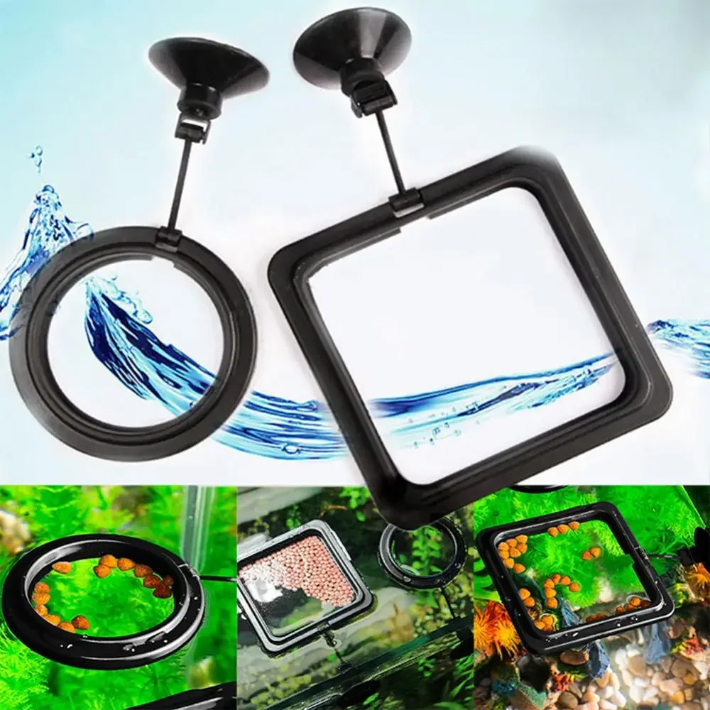 Przyssawka do podajnika Akwari – Aquarium Fish Food recenzja i cena