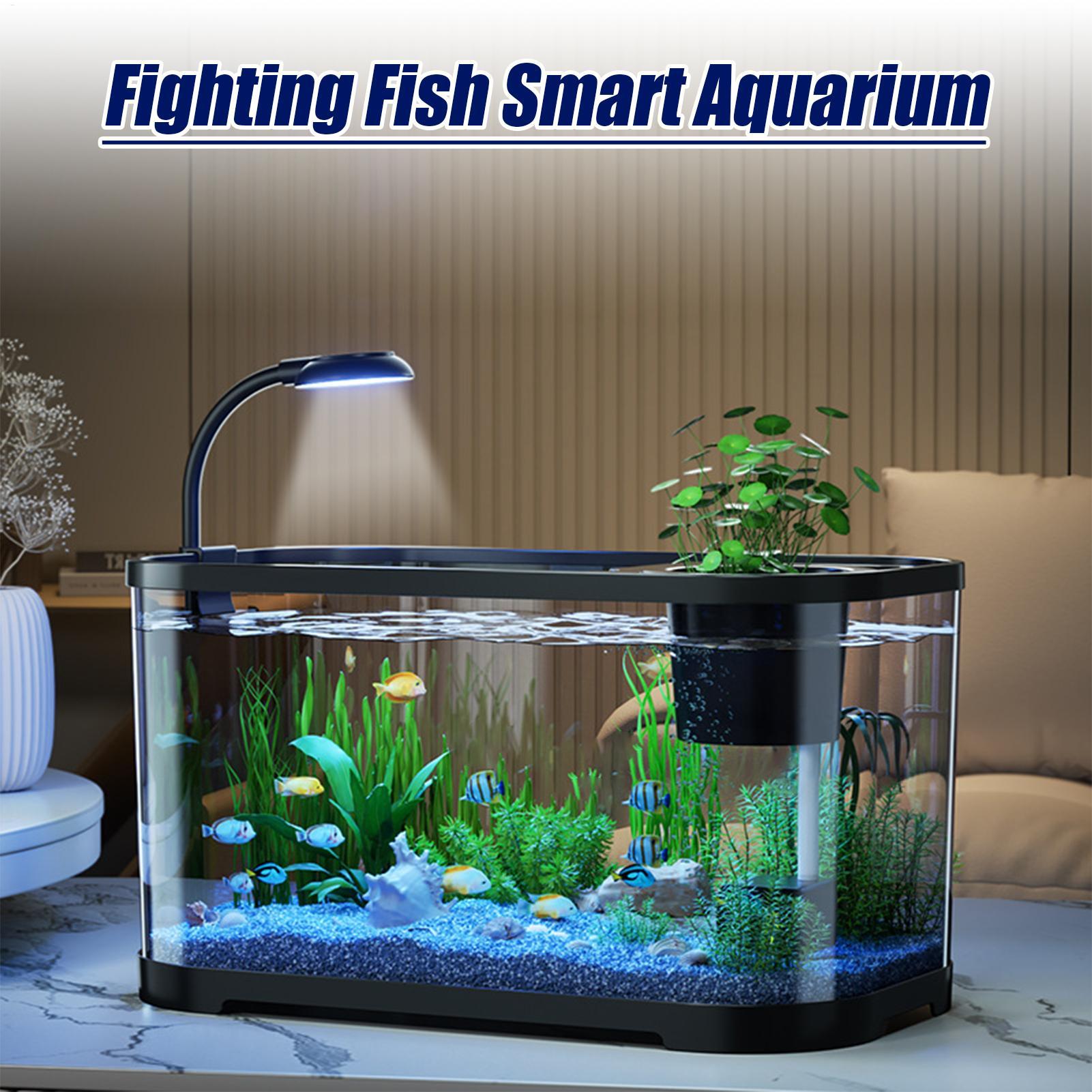 Zestaw Akwariowy Startowy Akwa – Aquarium Fish For Beginners recenzja i cena