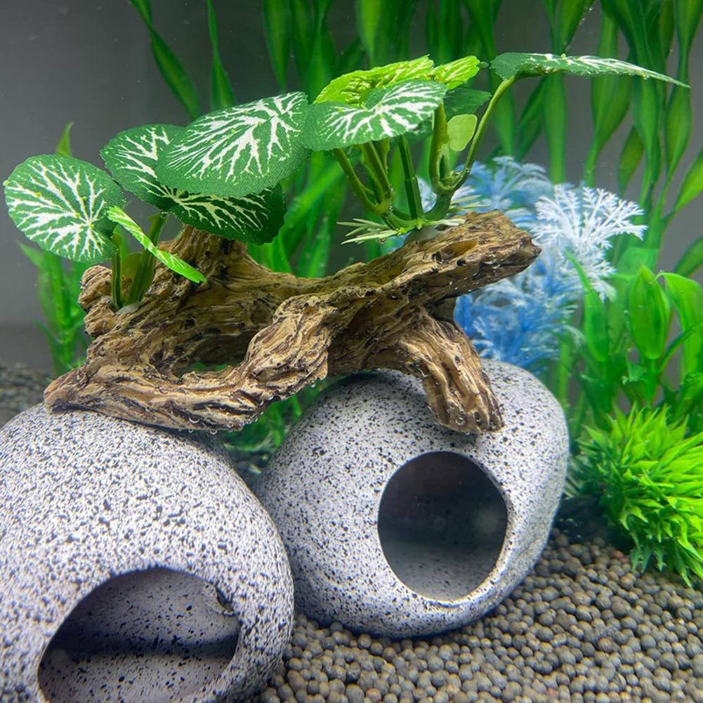 Niewymagające dużego zaopatrze – Aquarium Fish Low Maintenance recenzja i cena