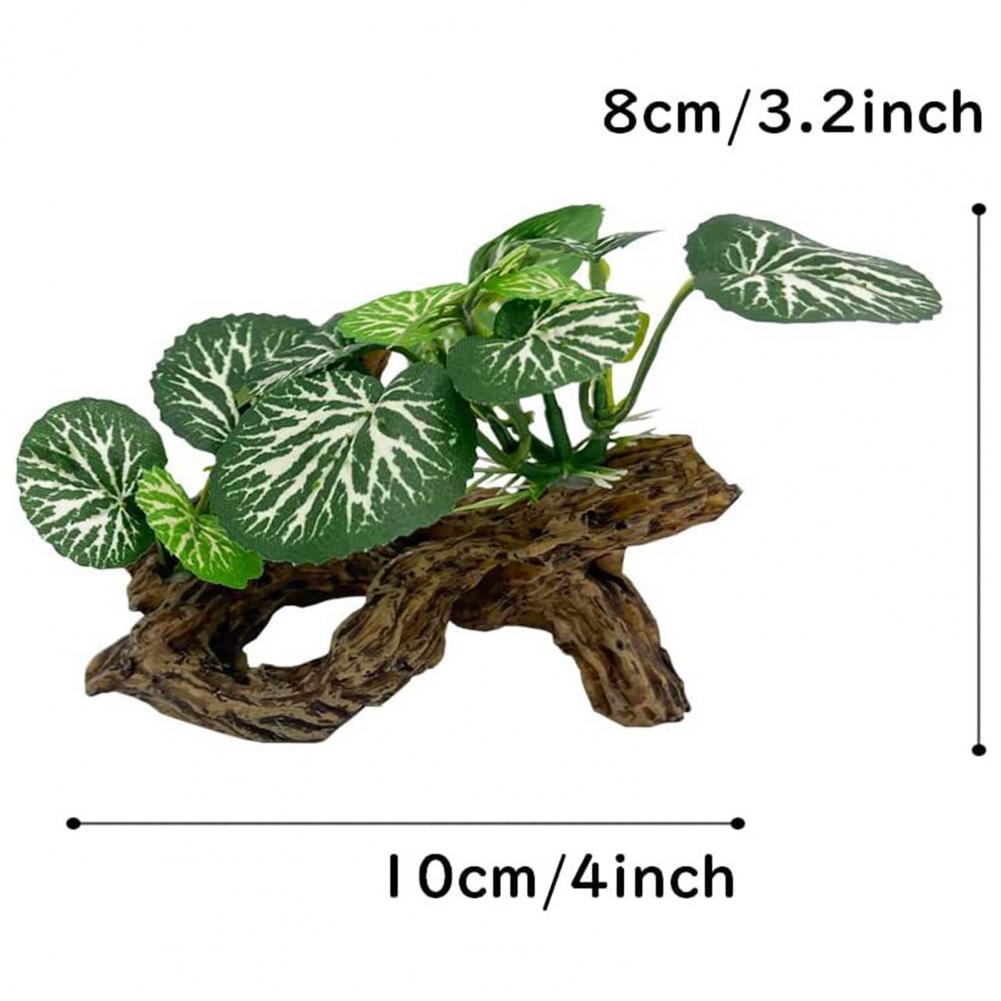 Niewymagające dużego zaopatrze – Aquarium Fish Low Maintenance recenzja i cena