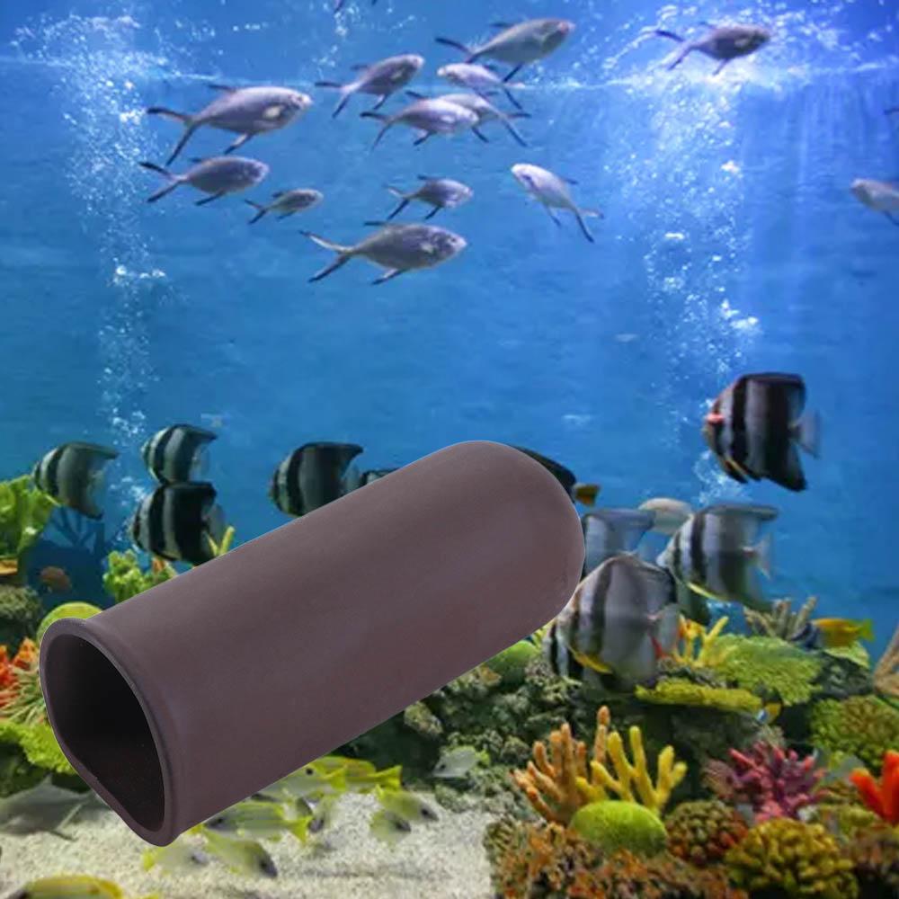 Nowe akwarium schronisko w akw – Aquarium Fish For Beginners recenzja i cena