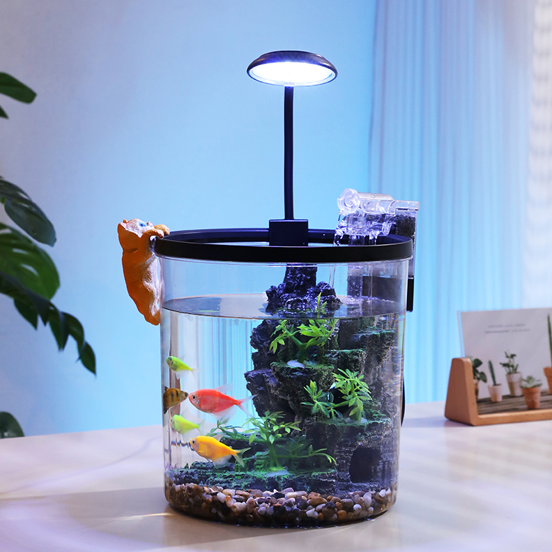 Kompaktowa okrągła akwarium dl – Aquarium Fish Low Maintenance recenzja i cena
