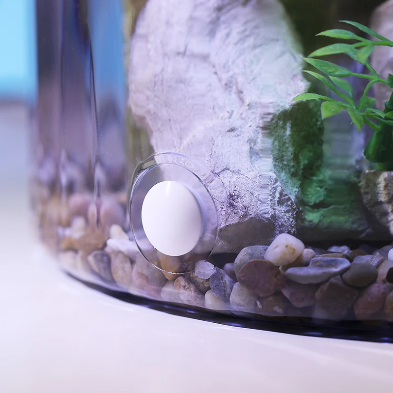Kompaktowa okrągła akwarium dl – Aquarium Fish Low Maintenance recenzja i cena