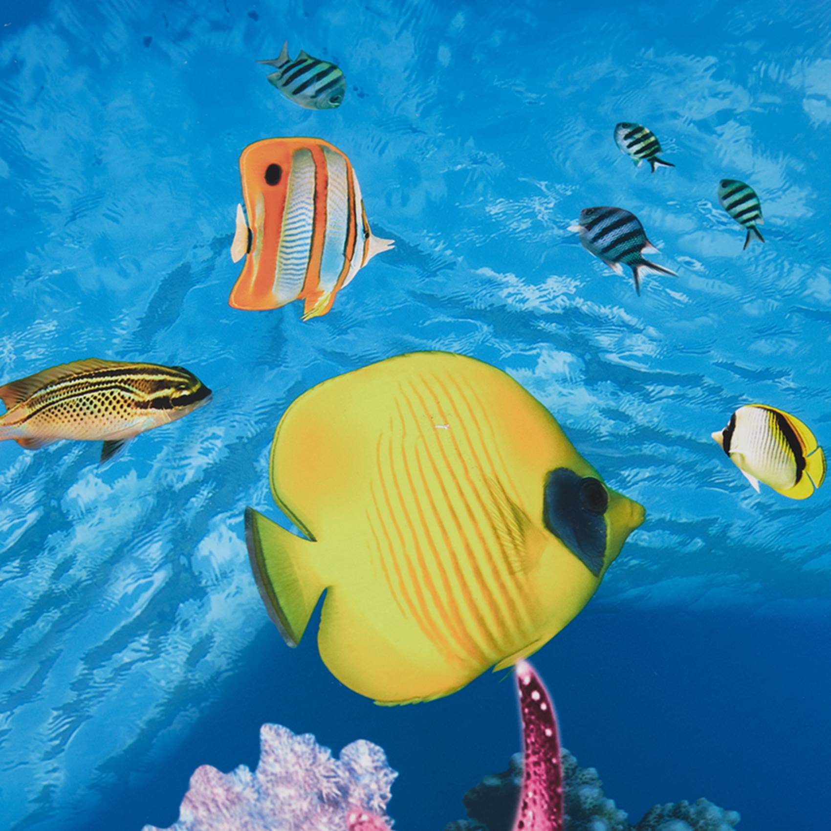 Papier do akwarium BAAU, tło a – Aquarium Fish Wallpaper Hd recenzja i cena