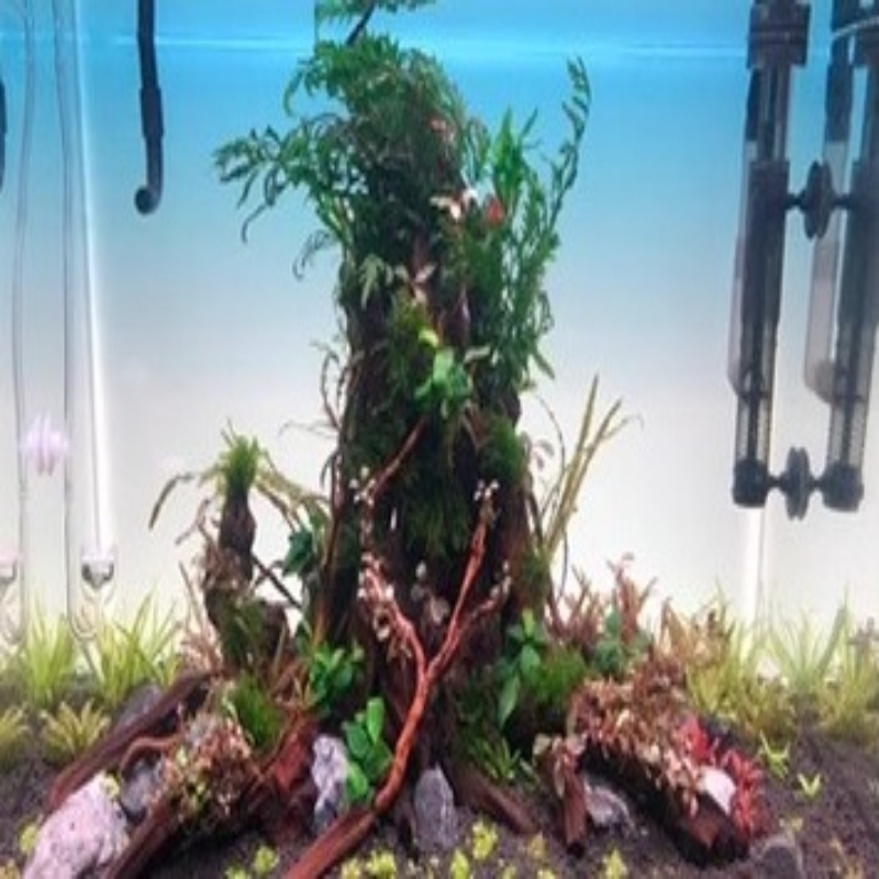 Tło do akwarium LED, akrylowe, – Aquarium Fish Rainbow recenzja i cena