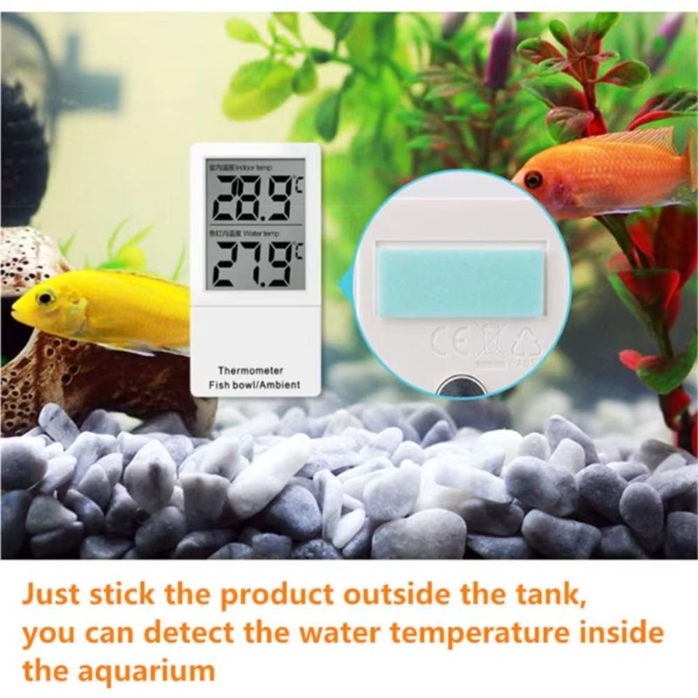 Termometr akwariowy LCD, cyfro – Aquarium Thermometer recenzja i cena