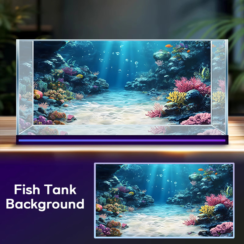 Tęczowy rafa koralowa, malowid – Aquarium Fish Rainbow recenzja i cena
