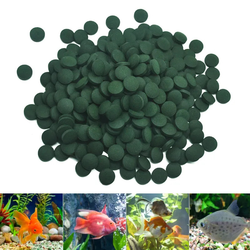 50-300 szt. Tabletek Spiruliny – Aquarium Fish Food recenzja i cena