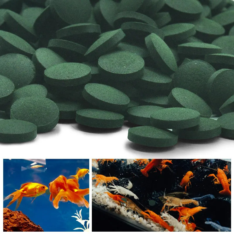 50-300 szt. Tabletek Spiruliny – Aquarium Fish Food recenzja i cena