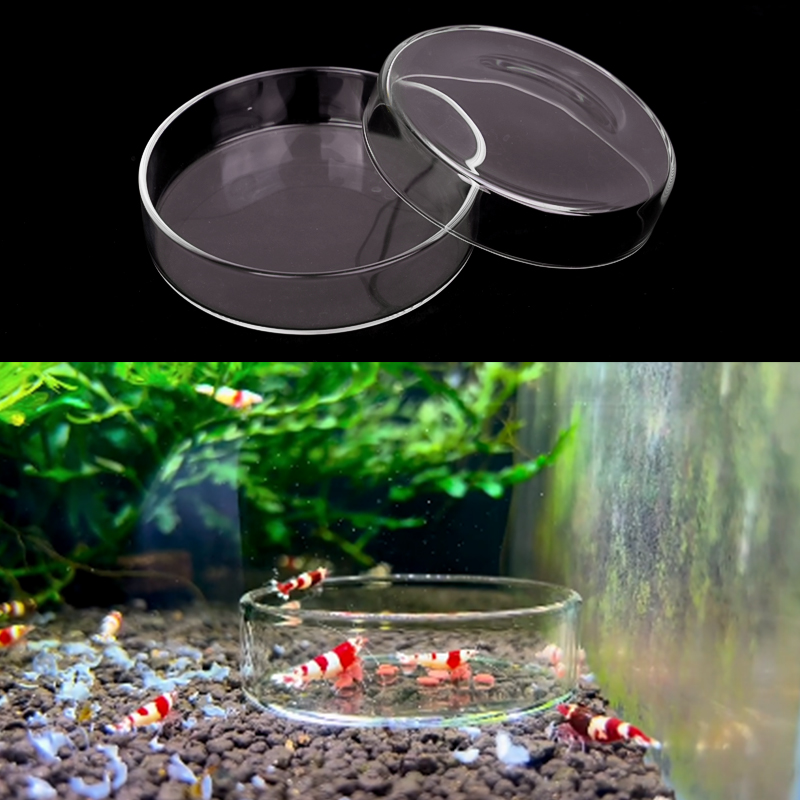 Miseczka do karmienia krewetek – Aquarium Fish Food recenzja i cena