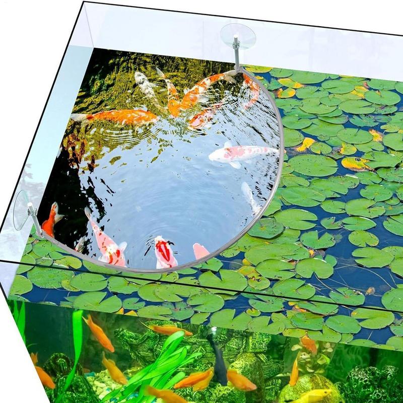 Pływający pierścień do karmien – Aquarium Fish Food recenzja i cena