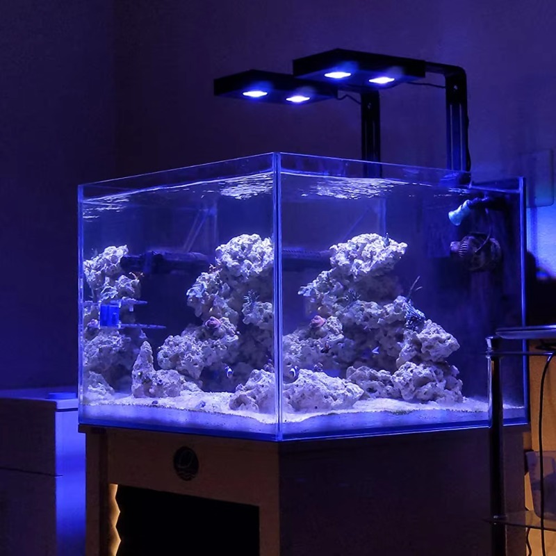 Chiński dostawca ściemnialnej  – Aquarium Fish Supplier recenzja i cena