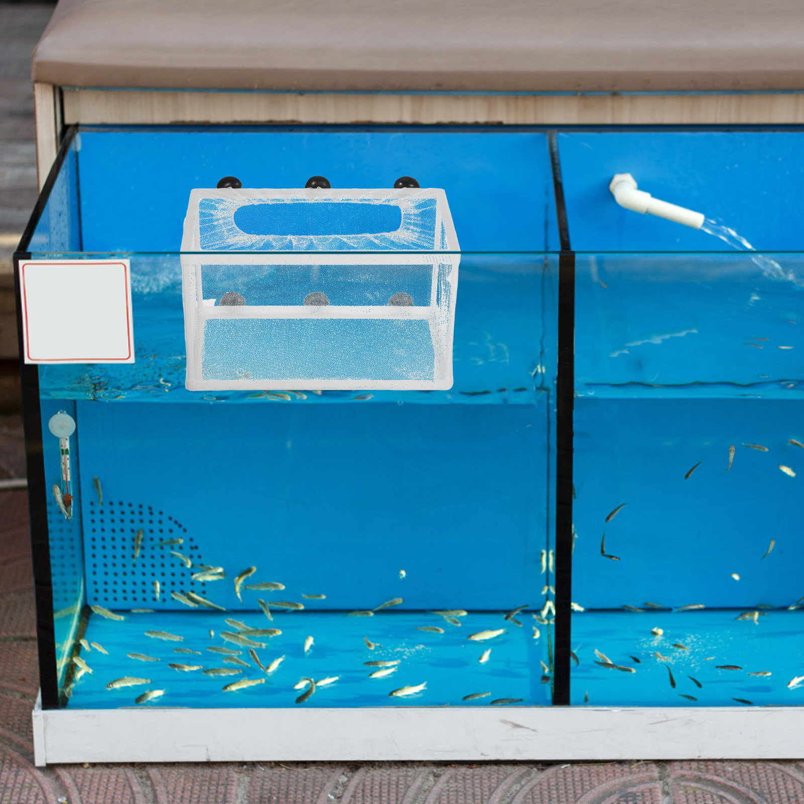 Siatka na ryby dużego rozmiaru – Aquarium Fish Big Size recenzja i cena