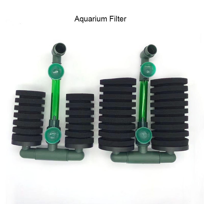 Wysokiej jakości zielona akwar – Aquarium Fish For Beginners recenzja i cena