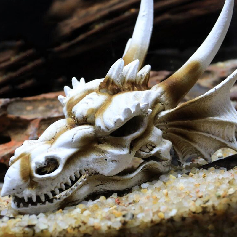Akwarium głowa dinozaura czasz – Aquarium Fish Popular recenzja i cena