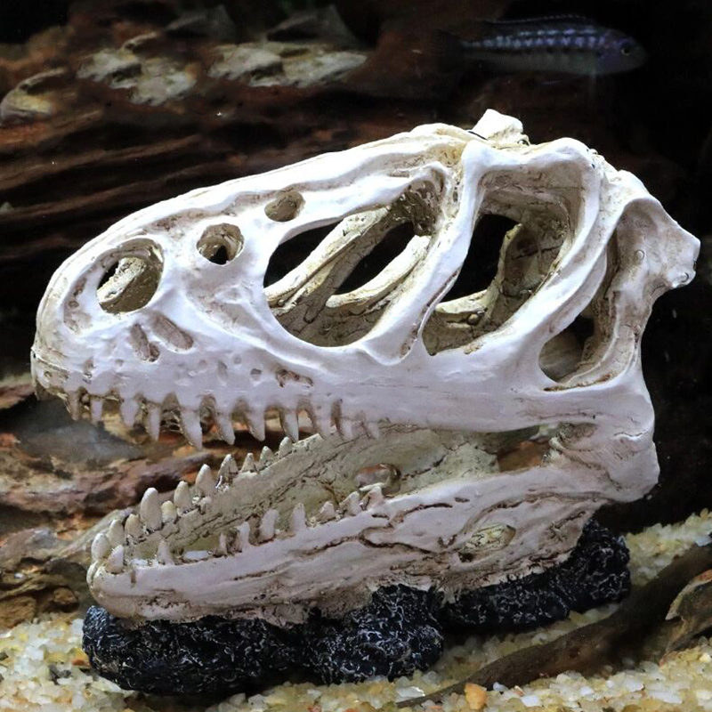 Akwarium głowa dinozaura czasz – Aquarium Fish Popular recenzja i cena