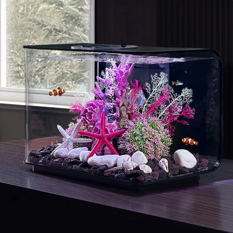 Akwarium do salonu, małe akwar – Aquarium Fish Supplier recenzja i cena