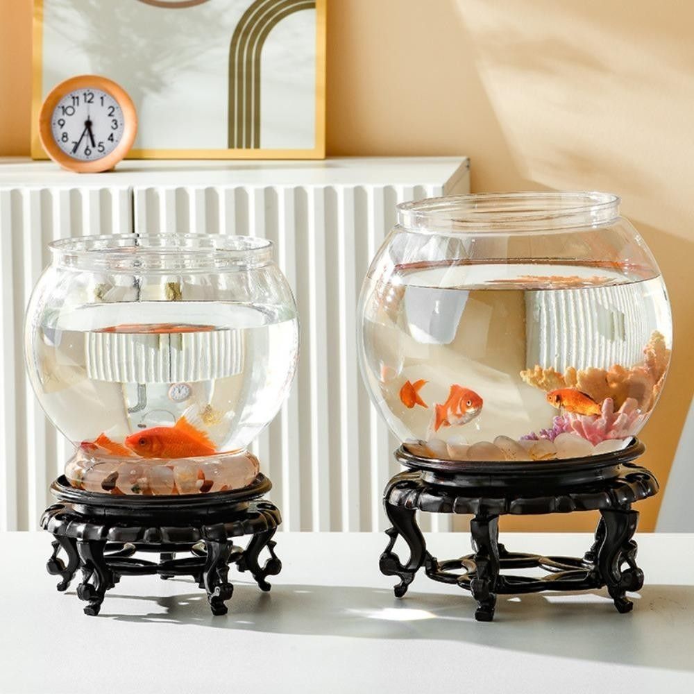 Nowe Przezroczyste Akwarium Ok – Aquarium Fish For Beginners recenzja i cena