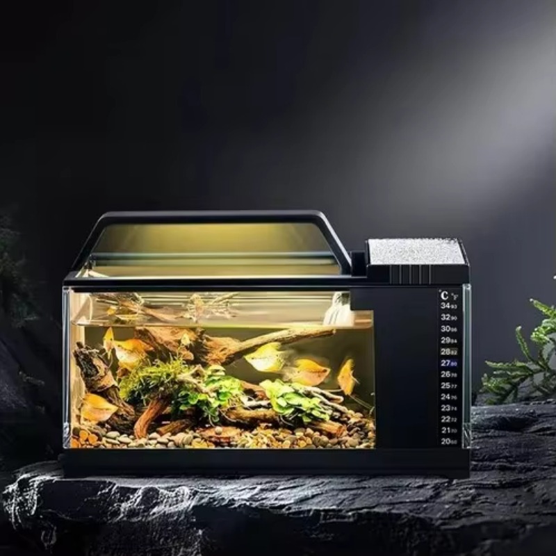 Akwarium w stylu południowoame – Aquarium Fish Low Maintenance recenzja i cena