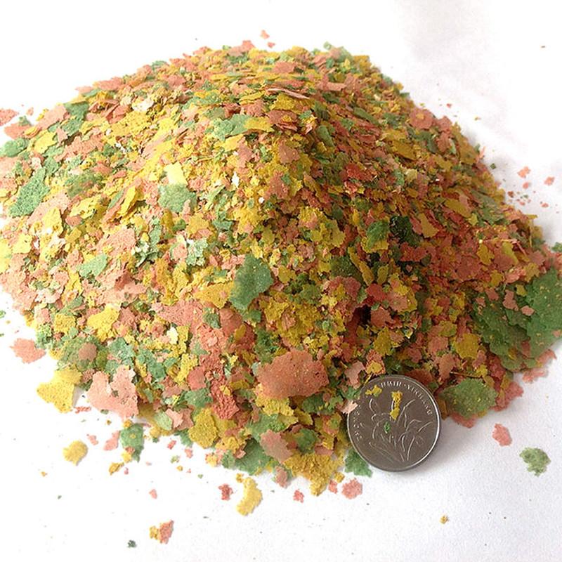 Ryby ozdobne Cienki plaster Ka – Aquarium Fish Rainbow recenzja i cena