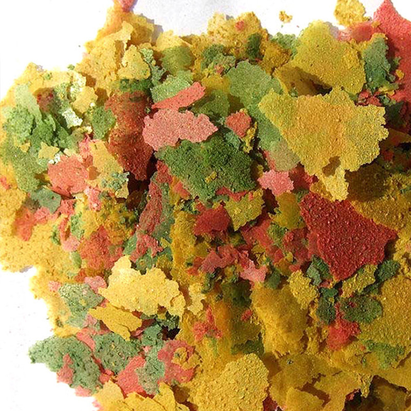 Ryby ozdobne Cienki plaster Ka – Aquarium Fish Rainbow recenzja i cena