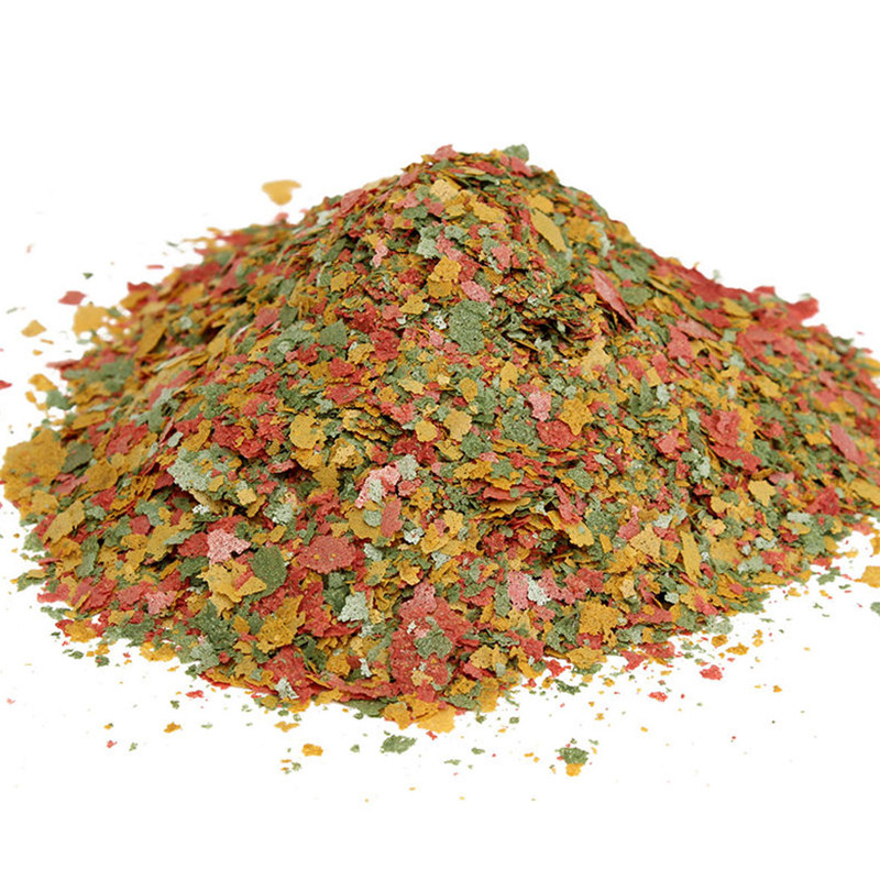 Ryby ozdobne Cienki plaster Ka – Aquarium Fish Rainbow recenzja i cena