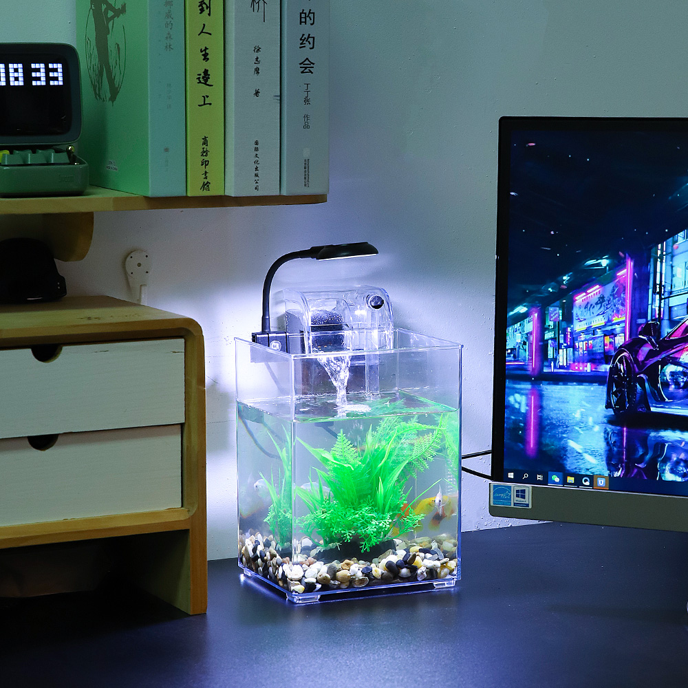 Pulpit, USB zestaw do akwarium – Aquarium Fish For Beginners recenzja i cena