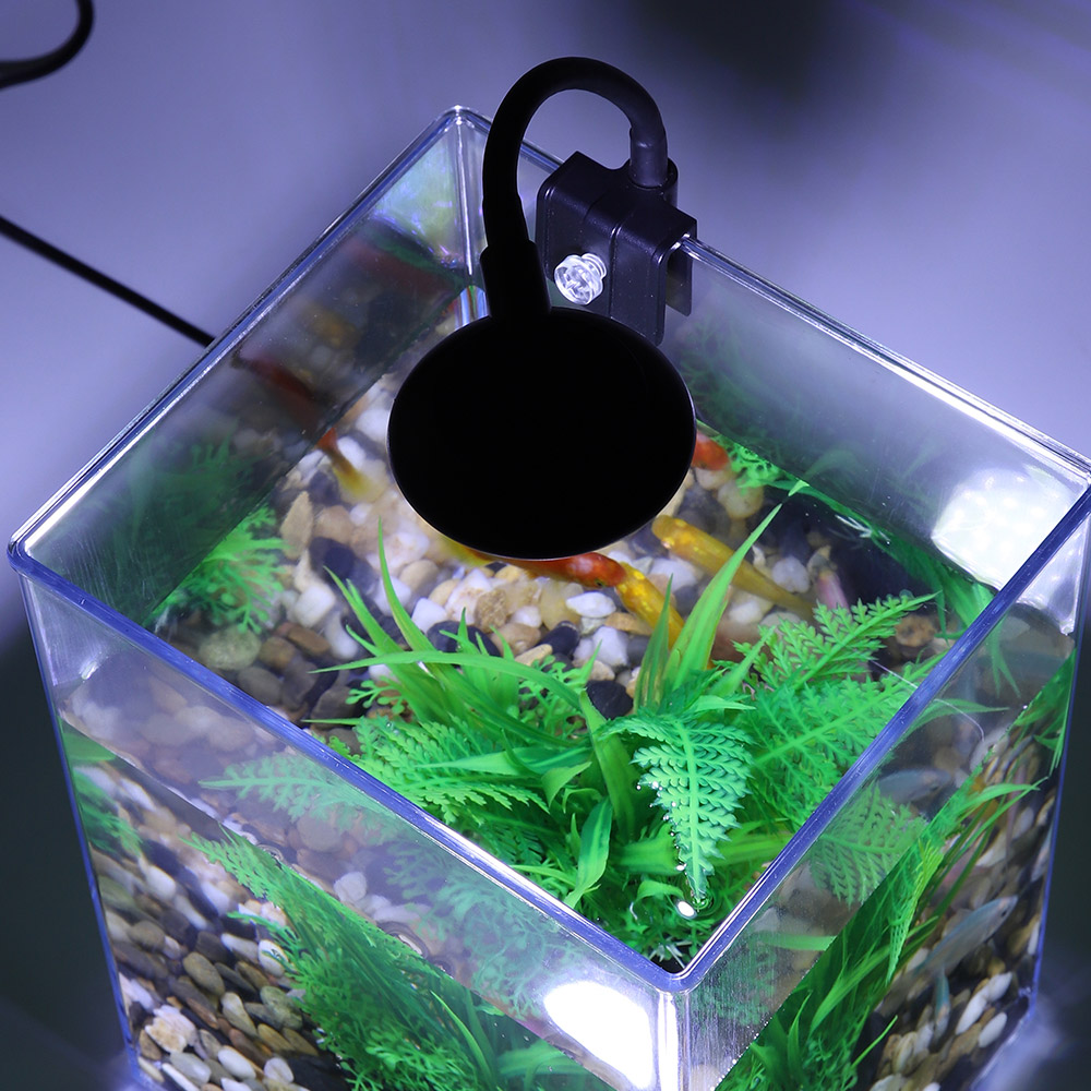 Pulpit, USB zestaw do akwarium – Aquarium Fish For Beginners recenzja i cena
